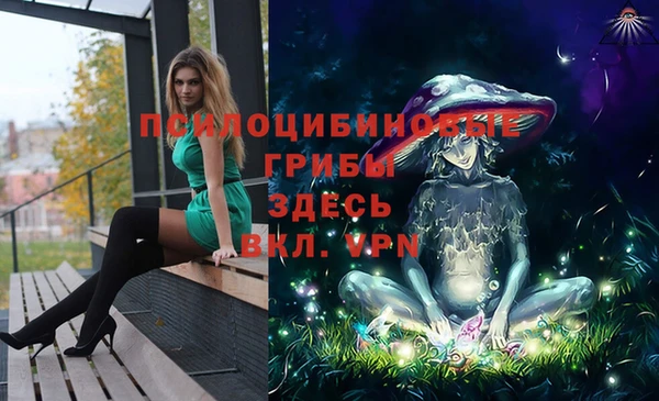 МДПВ Богородицк